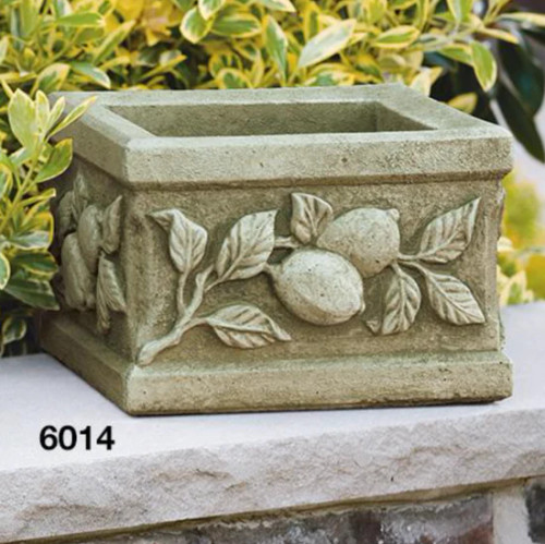 Square Limone Planter - 6014