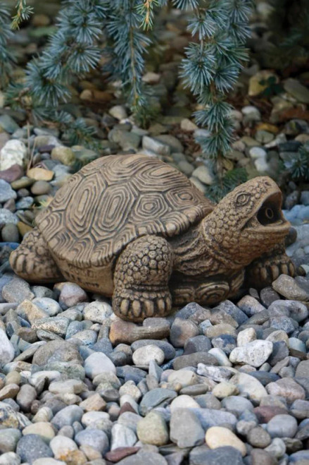 Medium Turtle - Plumbed - 2330