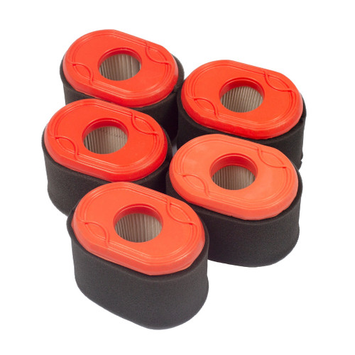 Briggs & Stratton Air Filter (5 x 796970) 4238