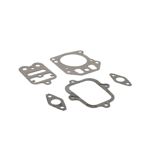 Briggs & Stratton Valve Gasket Set 555581