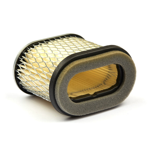 Briggs & Stratton A/C Cartridge Filter 692446