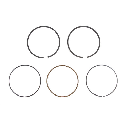 Briggs & Stratton Ring Set 791787