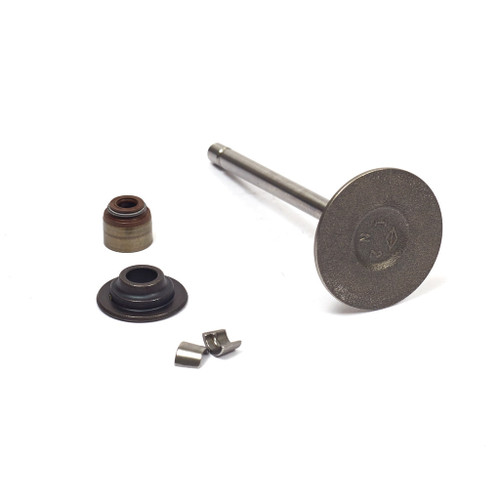 Briggs & Stratton Intake Valve 843730