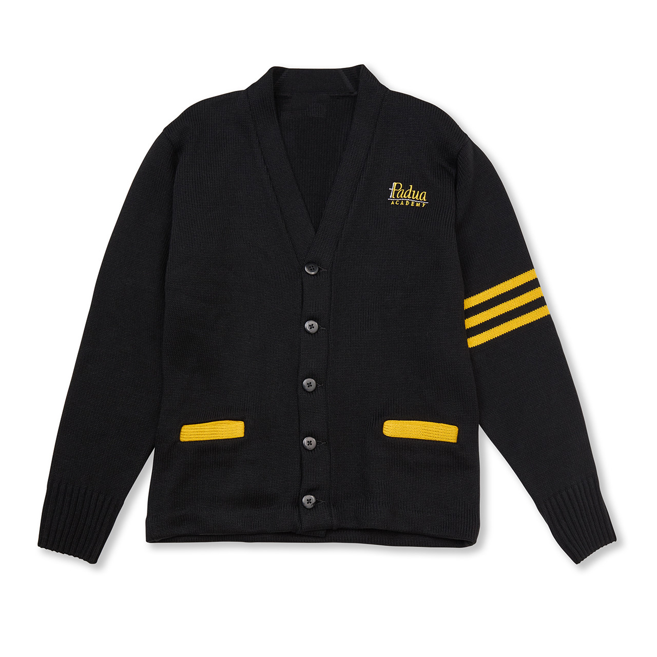 V-Neck Varsity Cardigan Sweater with embroidered logo [DE174-3479