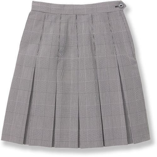 Box Pleat Skirt [TN001-505-230-BK/WH PL]