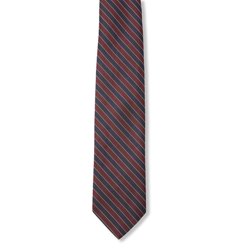 Boys' Striped Tie [GA009-3-92-STRIPED]