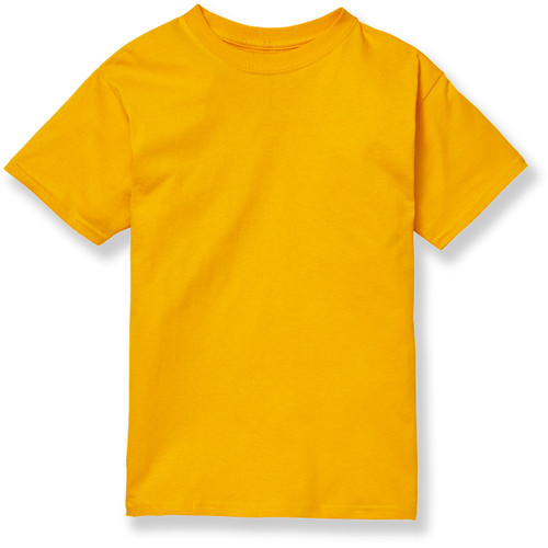 Short Sleeve T-Shirt with heat transferred logo [NY186-362-NWP-GOLD]