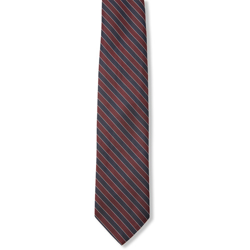 Boys' Striped Tie [ID001-3-92-STRIPED]