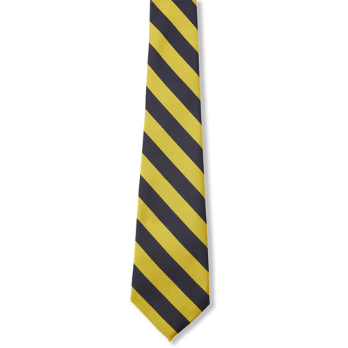 Boys' Ties [VA335-3-109 CL-NV/GD]