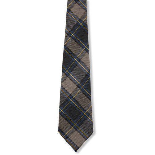 Boys' Tie [AK010-3-87-ROYAL/GD]