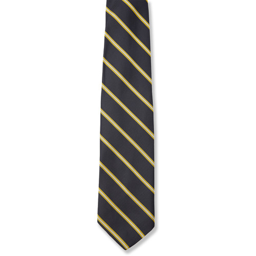 Striped Tie [MD154-R-120-STRIPED]