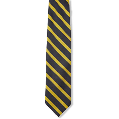 Striped Tie with embroidered logo [NY204-3-708SAT-NV/GD]