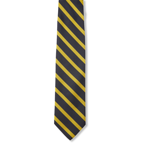 Striped Tie [NY890-3-708-NV/GD]