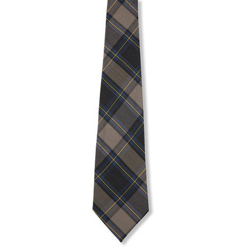 Boys' Tie [NY209-3-87-ROYAL/GD]