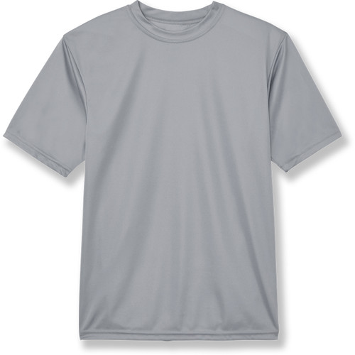 Wicking T-Shirt with heat transferred logo [TX036-790-SILVER]