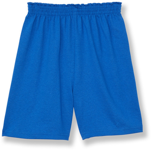 Jersey Knit Shorts with heat transferred logo [NY750-72/FAT-ROYAL]