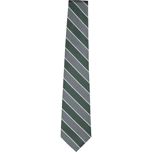 Striped Men's Ties [PA001-3-MHP-GRN/GY]
