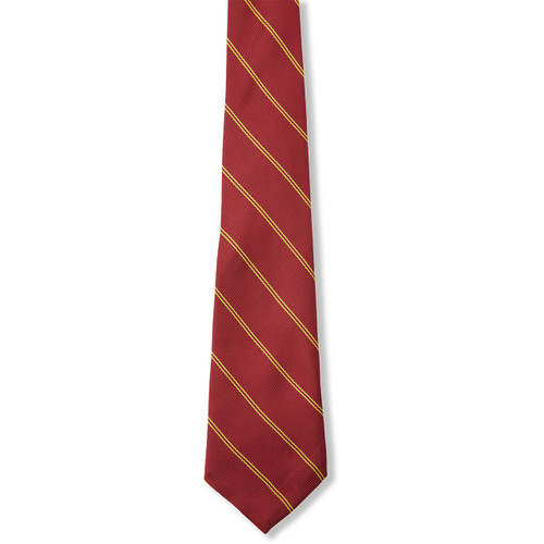 Striped Men's Tie [VA055-3-MCN-MA/GD]