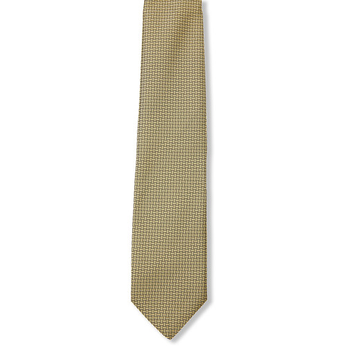 Patterned Tie [NY792-3-SA2-GOLD]