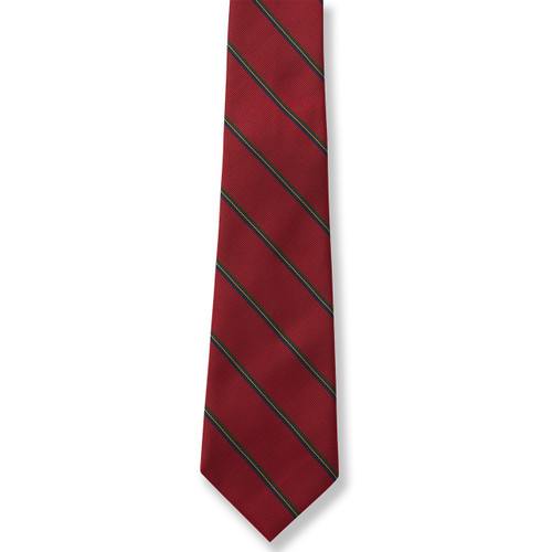 Striped Tie [GA006-3-1206-STRIPED]