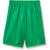 Micromesh Gym Shorts with heat transferred logo [FL049-101-BRN-KELLY GR]