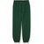Heavyweight Sweatpants with heat transferred logo [FL061-865/TFL-HUNTER]