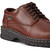 Women's Eastland Oxford Shoe [NJ190-3150BRW-BROWN]