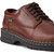 Women's Eastland Oxford Shoe [PA980-3150BRW-BROWN]