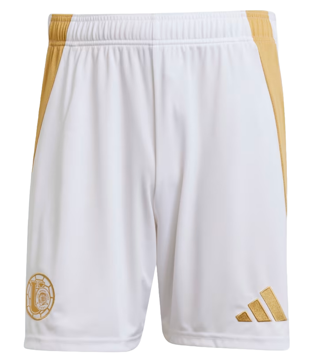Tigres UANL 24/25 Kid's Third Shirt and Shorts