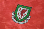 Wales 90/92 Men's Home Retro Shirt