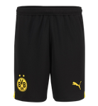 ADEYEMI #27 Borussia Dortmund 23/24 Authentic Men's Home Shirt