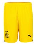 Borussia Dortmund 23/24 Stadium Men's Away Shirt