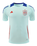 Spain 2024 Men's Light Blue Training Shirt