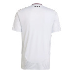 Ajax 24/25 Stadium Men's Third Shirt