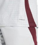 Ajax 24/25 Stadium Men's Third Shirt