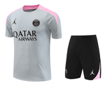 Paris Saint-Germain 24/25 Men's Gray Training Shirt