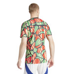 Arsenal 24/25 Men's Green-Red Pre-Match Shirt