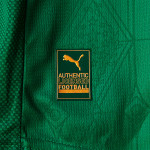 Palmeiras 25/26 Authentic Men's Home Shirt