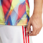 Arsenal 25/26 Men's Pre-Match Shirt