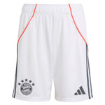 #25 MÜLLER Bayern Munich 25/26 Authentic Men's Away Shirt