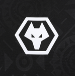 Wolves 25/26 Men's Home Goalkeeper Shirt