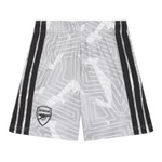 Arsenal 26/27 Kid's Home Goalkeeper Set