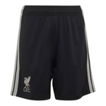 Liverpool 26/27 Stadium Men's Third Shirt