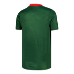 Sunderland 26/27 Kid's Green Goalkeeper Set