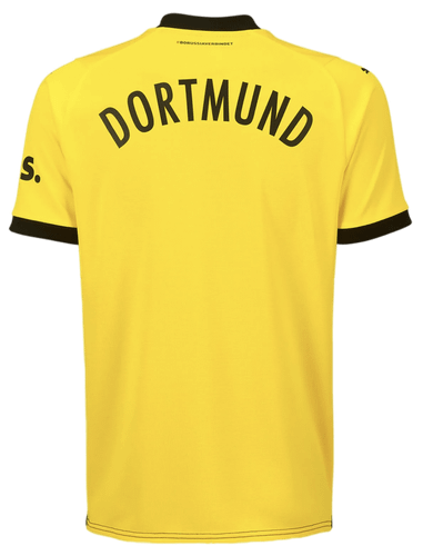 Borussia Dortmund 23/24 Authentic Men's Home Shirt