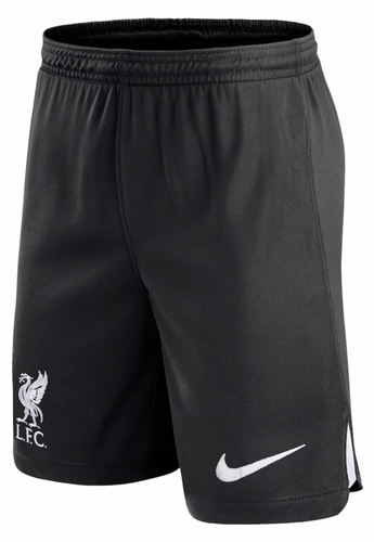 M.SALAH #11 Liverpool 23/24 Authentic Men's Away Shirt - PL Font