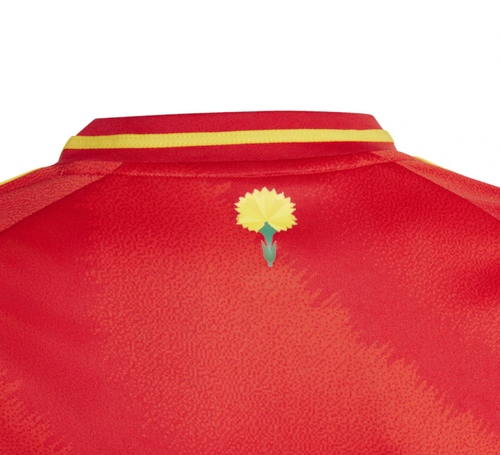 Spain 2024 Kid's Home Shirt and Shorts