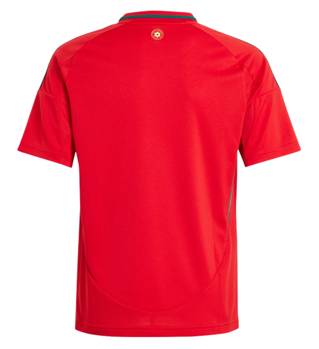 Wales 2024 Kid's Home Shirt and Shorts