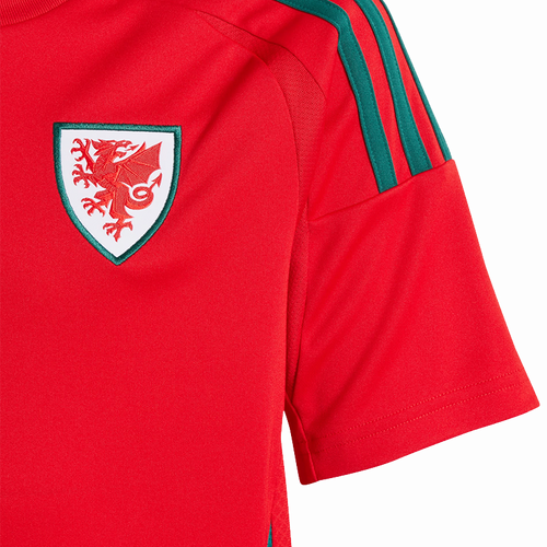 Wales 2024 Kid's Home Shirt and Shorts