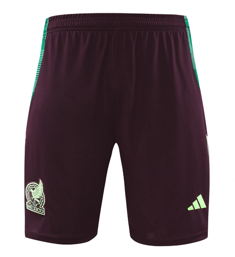 Mexico 2024 Men's Bordeaux Training Shirt